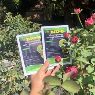 BIOB PHÒNG TR.Ừ BỌ TRĨ Nhện đỏ
