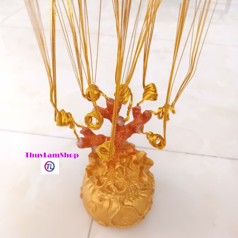 Gốc cây túi tiền đế đúc chắc chắn làm cây cành vàng lá ngọc