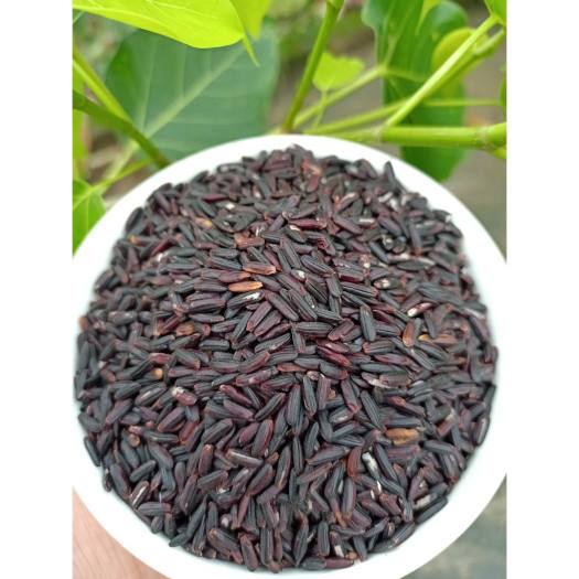 Gạo Lứt Đen Hoang Dã Hữu Cơ Exotic 1kg Hoa Sữa Food - XanhSam Organic