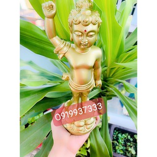 Tượng phật đản sanh ( 3 mẫu )