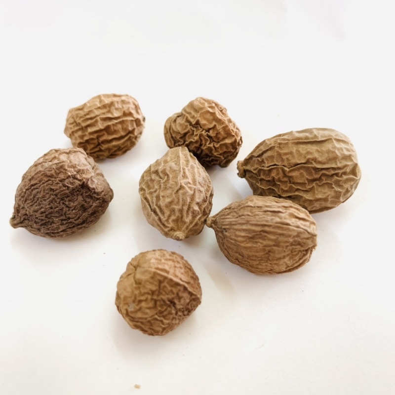 Thảo Đậu Khấu - Túi 30 gam và 50 gam