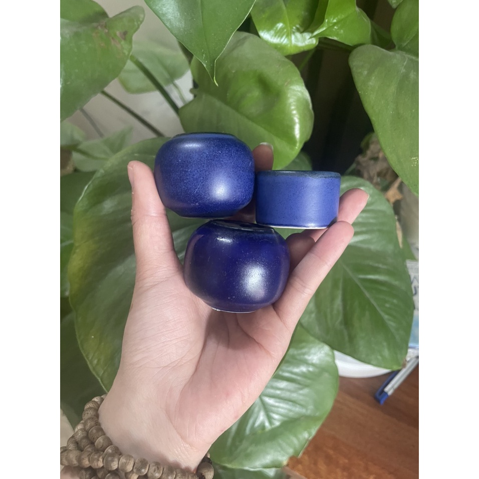 Cóng chim chào mào, một màu, cóng bạch định