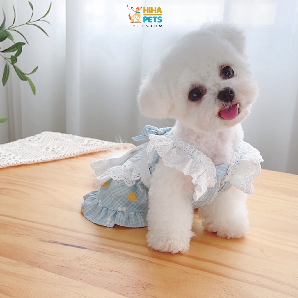 Quần Áo Cho Chó Mèo Vải Voan Cao Cấp Thiết Kế Hàn Quốc Quần Áo Thú Cưng Thời Trang Mùa Hè Hihapet.