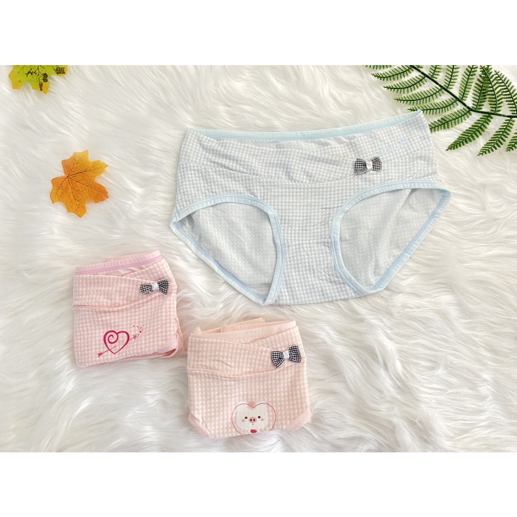 Quần lót bầu cạp chéo MS Mombaby in hình FREESIZE 45-60KG