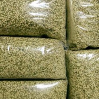 Trà nụ hoa nhài sấy lạnh 100g