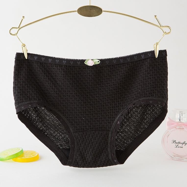 [Giá sỉ] Quần Lót Cotton Thông Hơi Siêu Thoáng 885