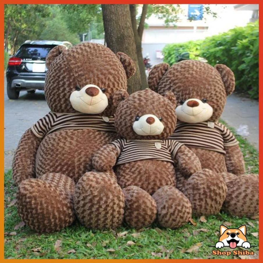 Gấu Teddy Siêu To Khổng Lồ 1M8 Ôm Phê Hơn Cả Người Yêu