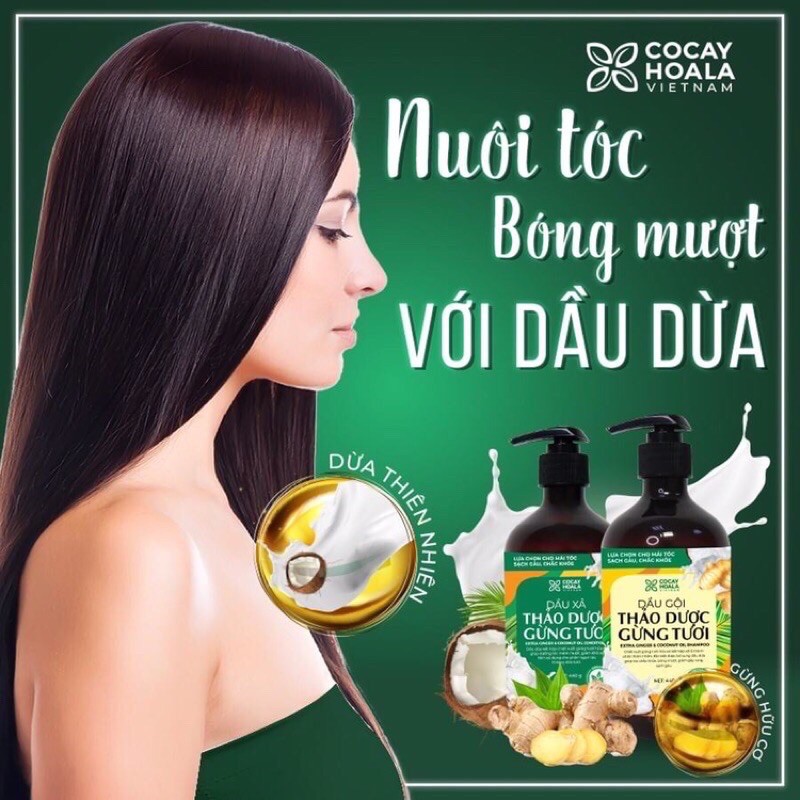 Combo Dầu Gội-XảThảo Dược Gừng Dừa Cỏ Cây Hoa Lá đánh bay gàu, giảm nấm ngứa sau 3 lần gội