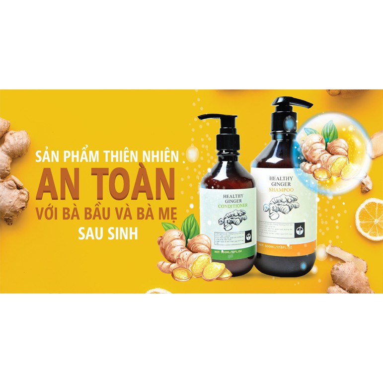 Combo Dầu Gội Gừng Trị Rụng Tóc Gàu Ngứa Nấm Da Đầu Kích Thích Mọc Tóc Hiệu Quả