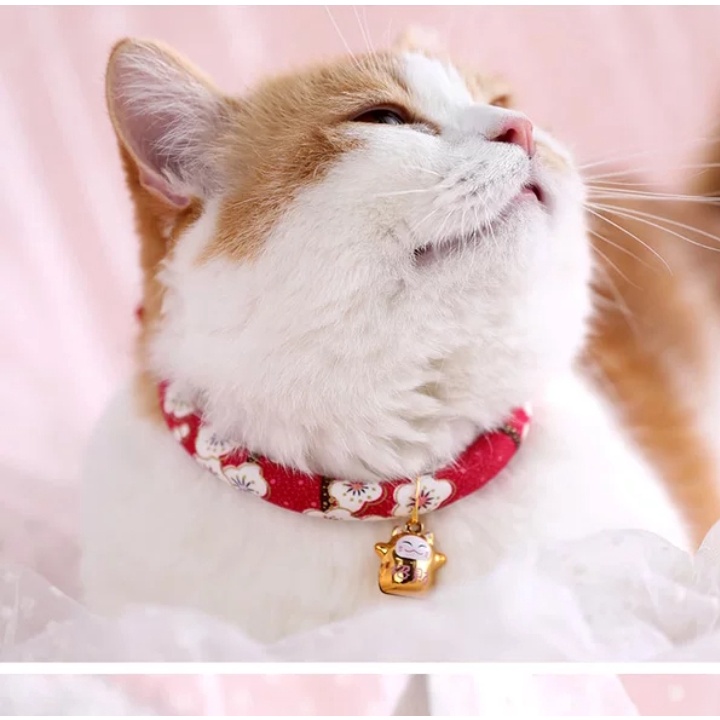Vòng cổ cho mèo phong cách Nhật bản - Mẫu mới Mèo Thần Tài - Có dây chỉnh kích cỡ