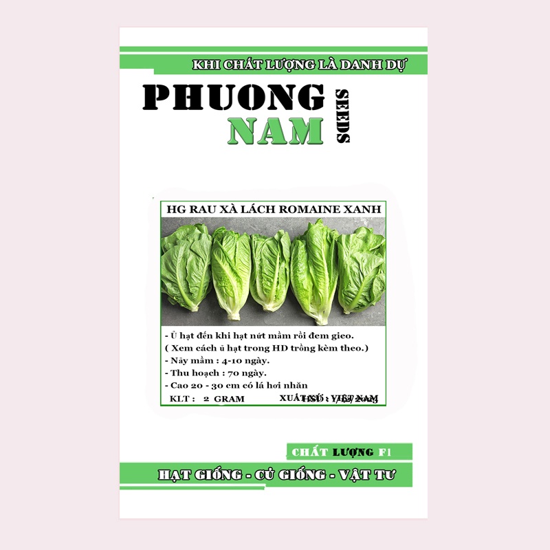 2GR - HẠT GIỐNG XÀ LÁCH ROMAINE XANH