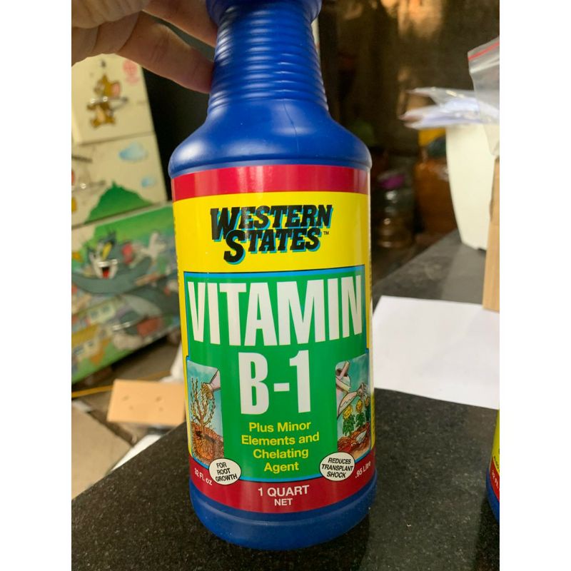 PHÂN BÓN B1 MỸ, HÀNG XÁCH TAY CHAI 946ML, CHUYÊN DÙNG CHO HOA, CÂY CẢNH