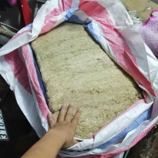 1kg dớn mềm trồng lan