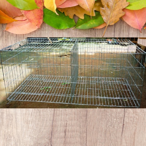 Lồng nuôi chim bồ câu bẳng kẽm 1 mét