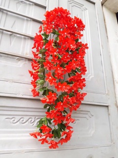 Chùm hoa jun dáng rủ siêu xinh - HN