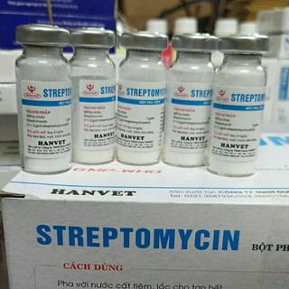 5 LỌ STREPTOMYCIN 1GR - TIÊU CHẢY ECOLI, TỤ HUYẾT TRÙNG Ở THỎ, GÀ