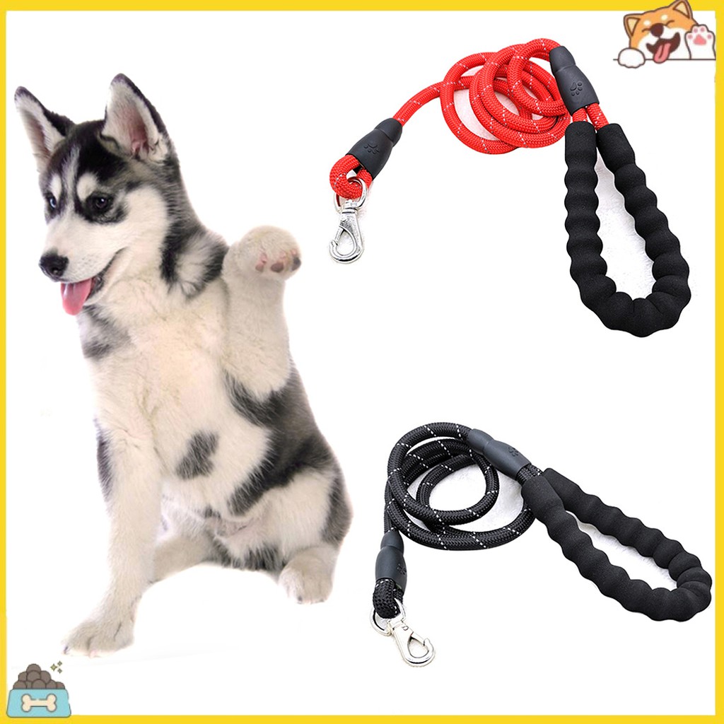 Dây Dẫn Thú Cưng Đi Dạo Tiện Lợi