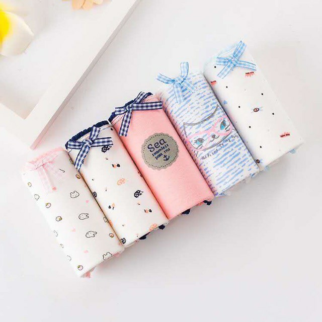 Set 5 quần lót học sinh chất cotton họa tiết dễ thương