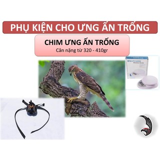 PHỤ KIỆN CHO CHIM ƯNG ẤN TRỐNG VÀ MÁI