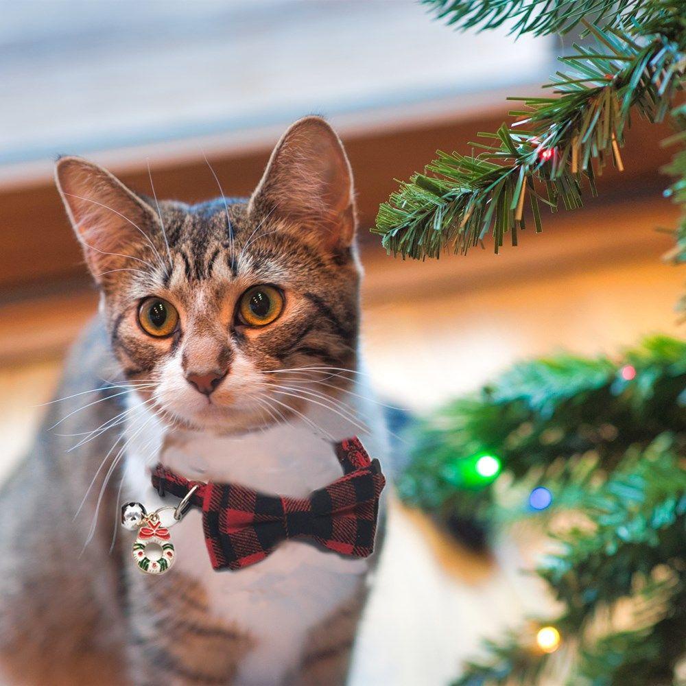 Vòng Cổ Có Chuông Giáng Sinh Cho Thú Cưng