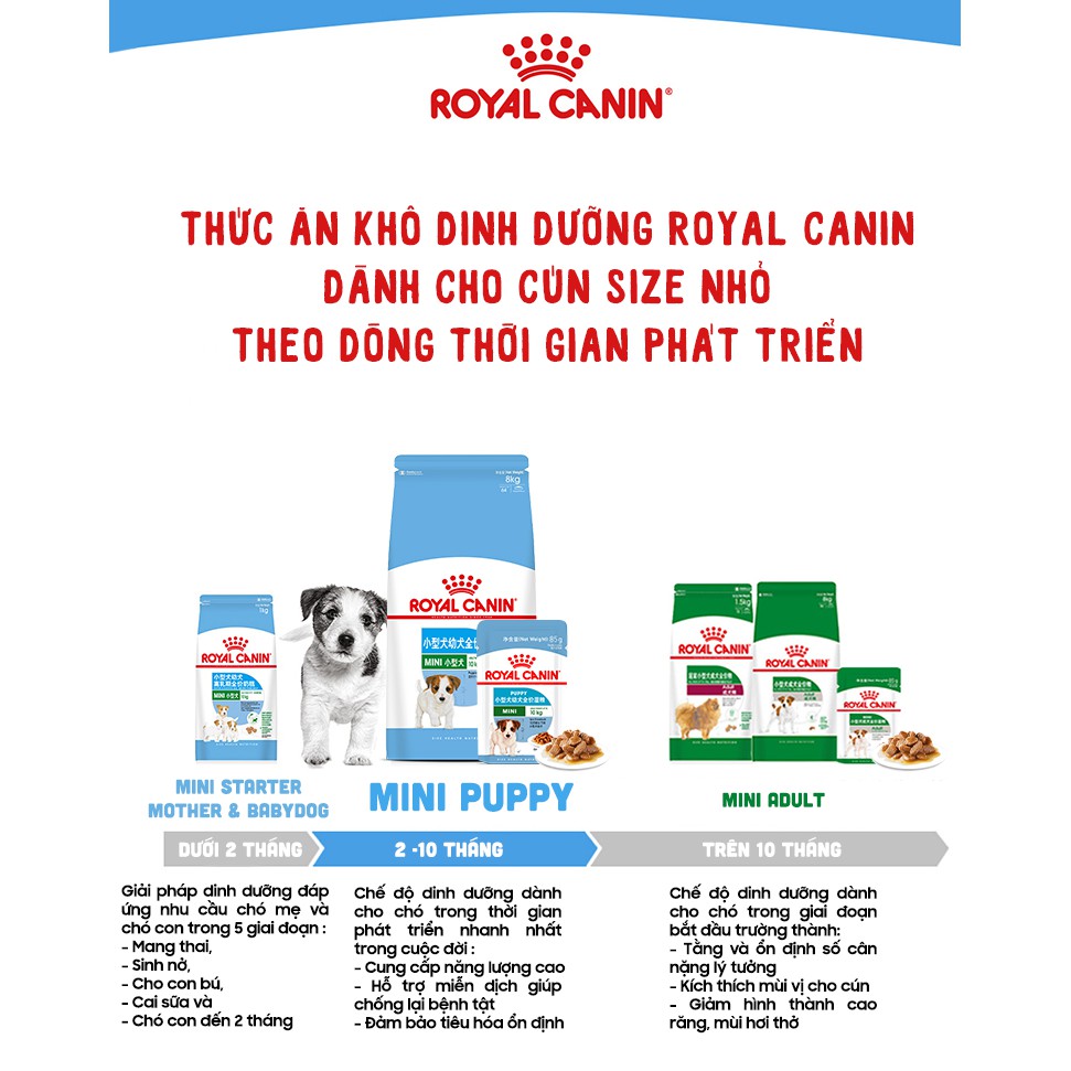[TÚI 0.8KG] HẠT KHÔ ROYALCANIN MINI PUPPY - DÀNH CHO CHÓ GIỐNG NHỎ - TỪ 2-10 THÁNG TUỔI