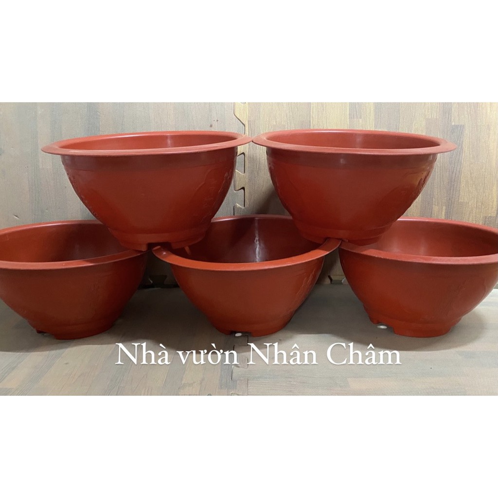 Chậu nhựa tròn T28 đỏ size bé dùng trồng hoa,cây cảnh các loại,trang trí nhà cửa