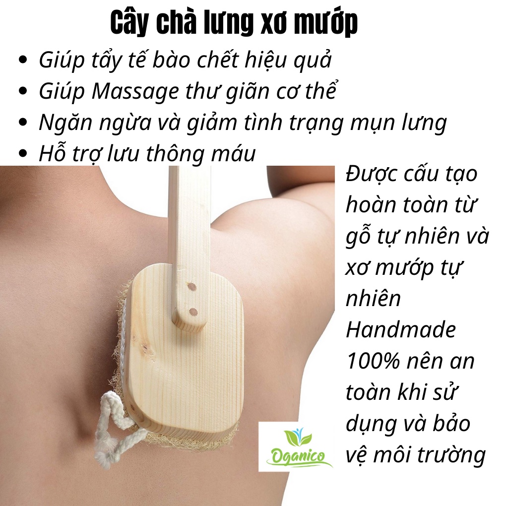 Cây Chà Lưng / Cọ chà lưng tắm, xơ mướp tự nhiên 100%, tẩy tế bào chết hiệu quả, massage body cực đã