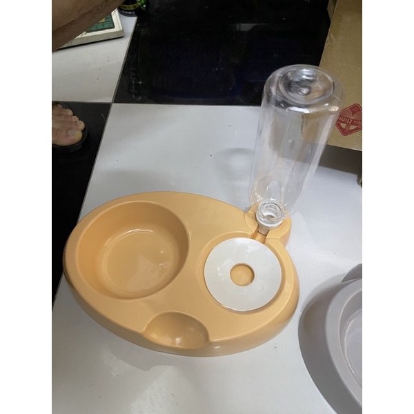 Bát ăn kèm bình cho chó mèo(mặt gấu)
