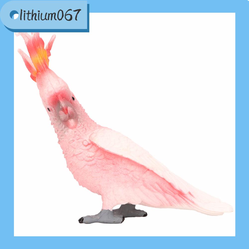 Lithium067 Mô hình con chim mô phỏng Hình trẻ em Bộ sưu tập bức tượng nhỏ tĩnh Đồ chơi giáo dục Quà tặng sinh nhật