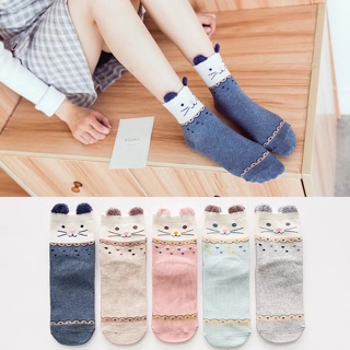 Set 5 đôi tất người lớn dày dặn cực kì kute a0114