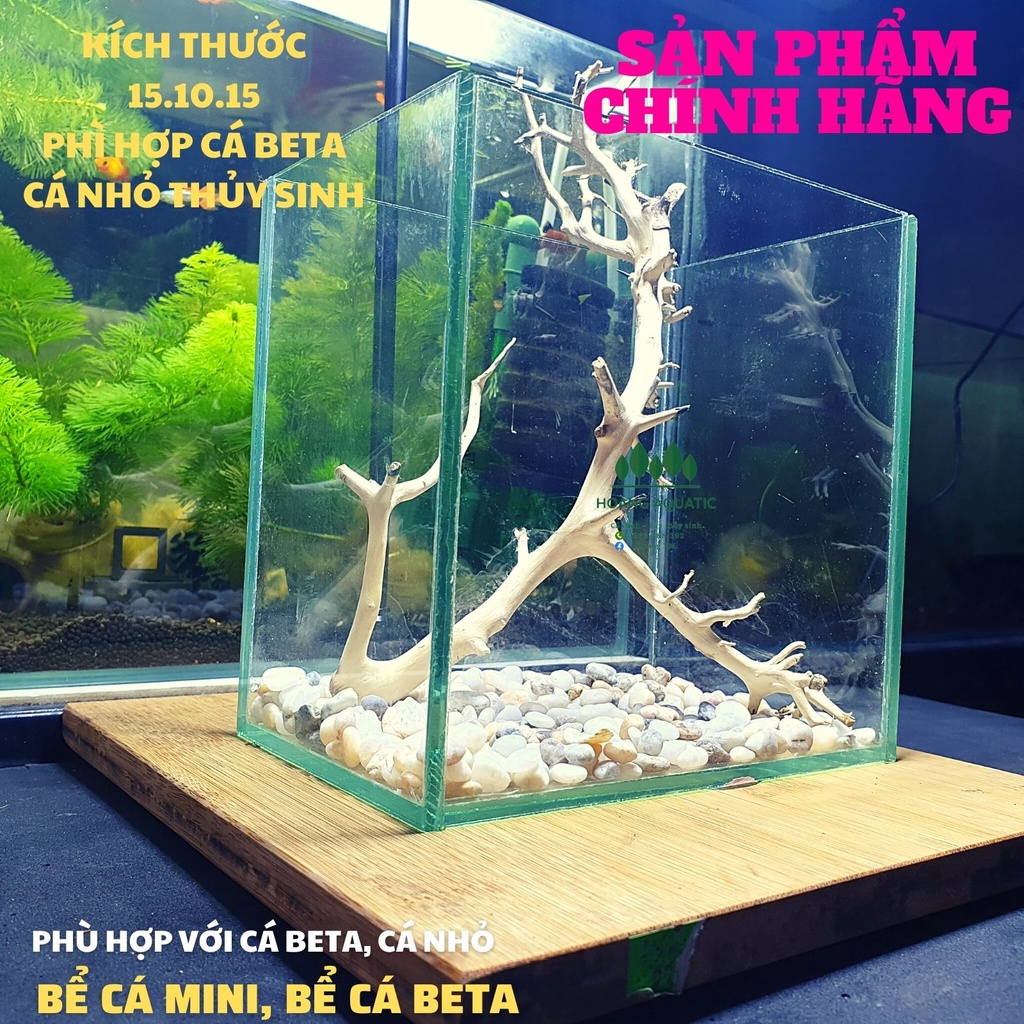 Bể Cá Beta Mini - Hồ Cá Mini Để Bàn, Tặng Sỏi 3 Màu Trang Trí.