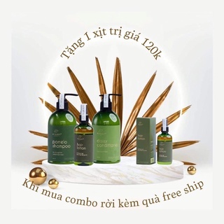 Bộ sản phẩm tinh dầu bưởi vi jully, xịt tinh dầu bưởi dầu gội và dầu xả chăm sóc tóc, ngăn rụng tóc,