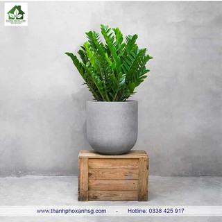 Chậu đá mài thúng nhỏ