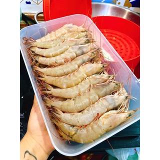 Hộp đông 1.5l tupperware