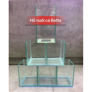 Hồ nuôi cá betta 1 ngăn, 2 ngăn, 3 ngăn siêu tiện lợi