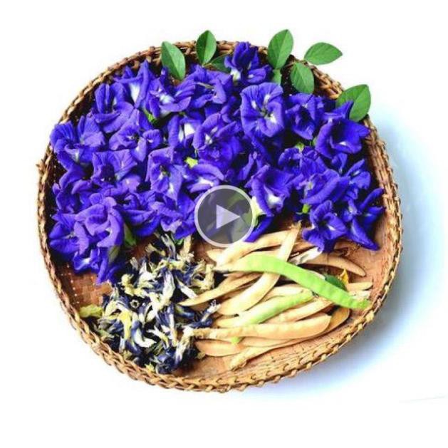 300g Trà hoa đậu biếc sấy lạnh nguyên bông - Healthy