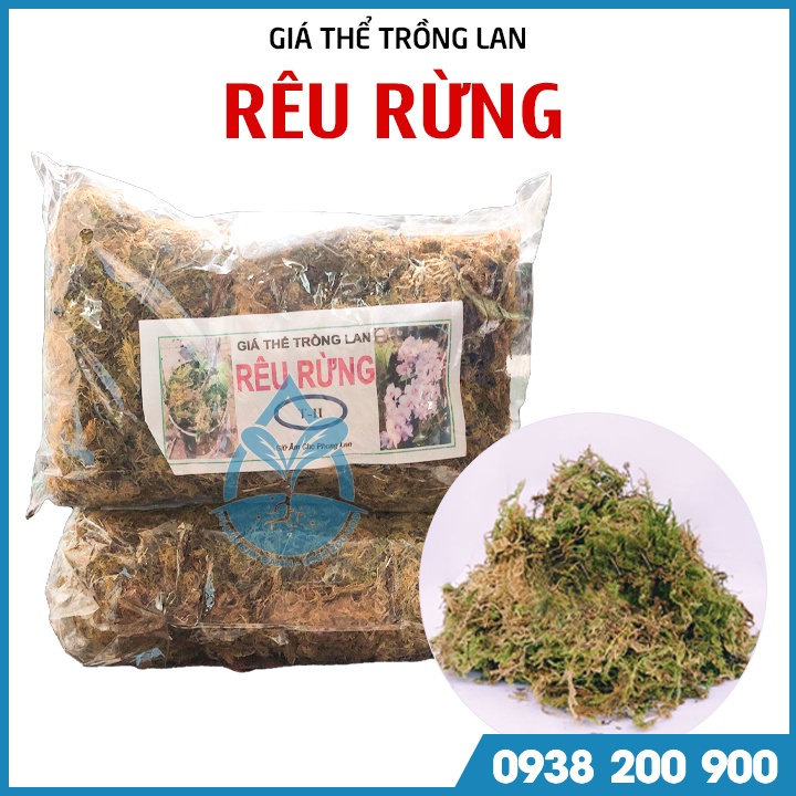 Rêu rừng trồng lan - gói 100 gram - Giá thể trồng lan rêu rừng