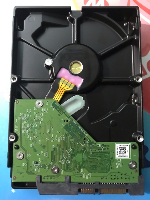 Ổ cứng HDD 1T | BigBuy360 - bigbuy360.vn