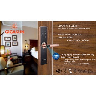 Khóa cửa điện tử Gigasun D01R