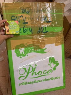 [CÓ SẴN] Kem đánh trắng răng Phoca Thailand (meochibi.shop)