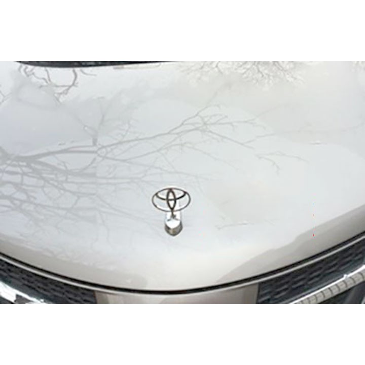 Logo kim loại trang trí nắp capo nắp cốp đủ thương hiệu Ferrari Peugeot Lexus Mercedes Eagle Suzuki Mitsubishi Nissan