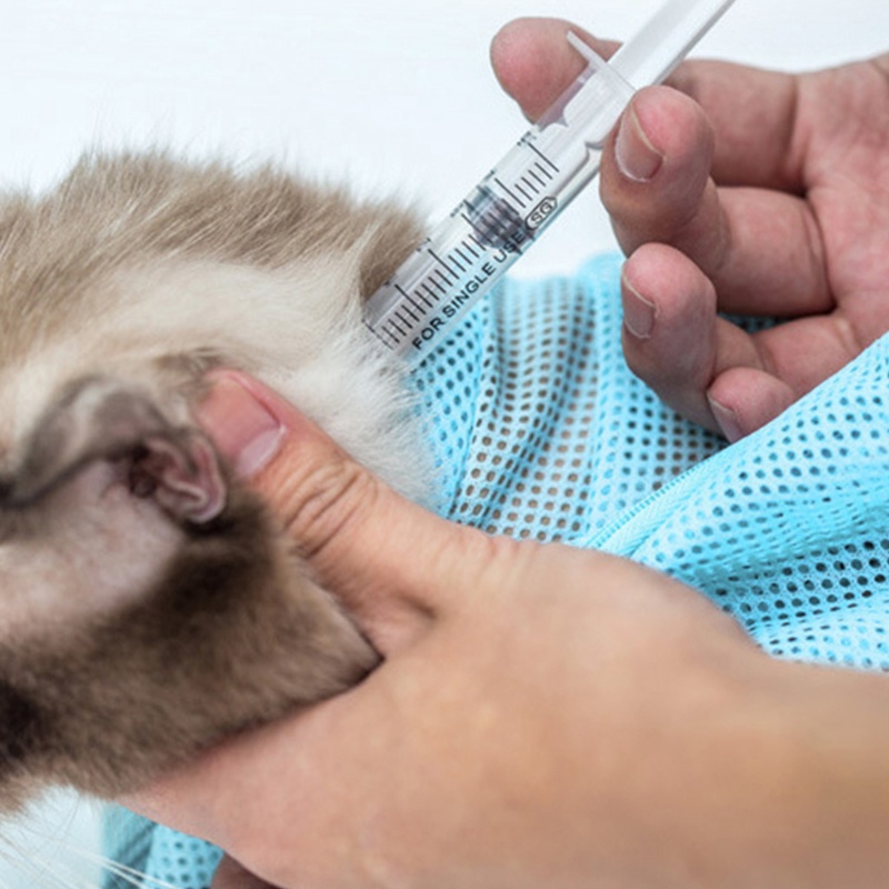 Túi Tắm Cho Mèo May Mắn Để Kiểm Tra Sự Nghỉ Ngơi Cho Salon Làm Đẹp