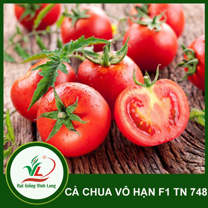 Hạt giống Cà chua vô hạn F1 TN 798 - 0,6g