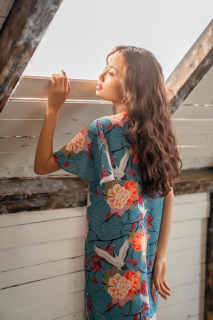 Đầm hạc ceci cela