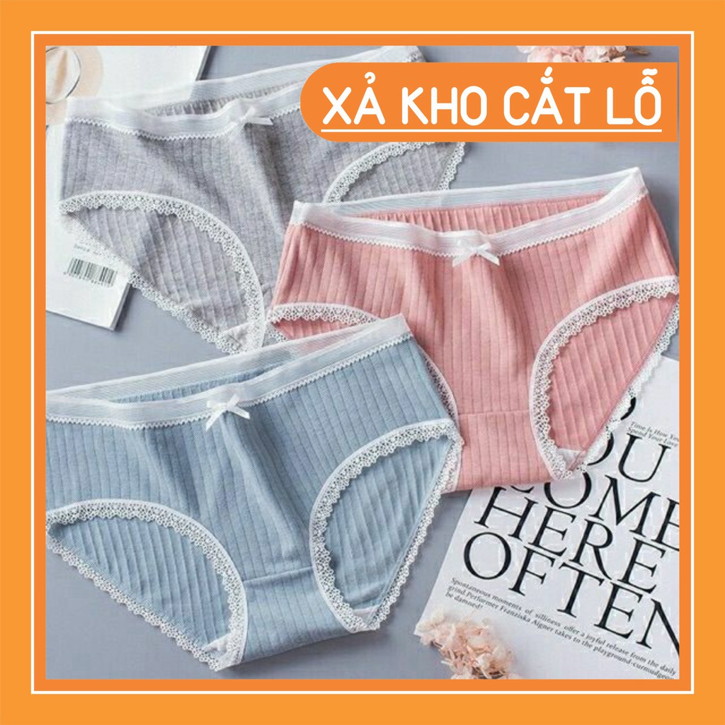 Sỉ Quần Lót Gân Tăm Viền Ren Cotton Thấm Hút Siêu Xinh Rẻ Nhất Thị Trường