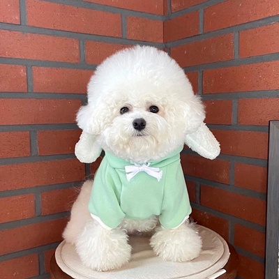 Áo mũ trùm tai thỏ dành cho thú cưng - Màu thật đậm hơn