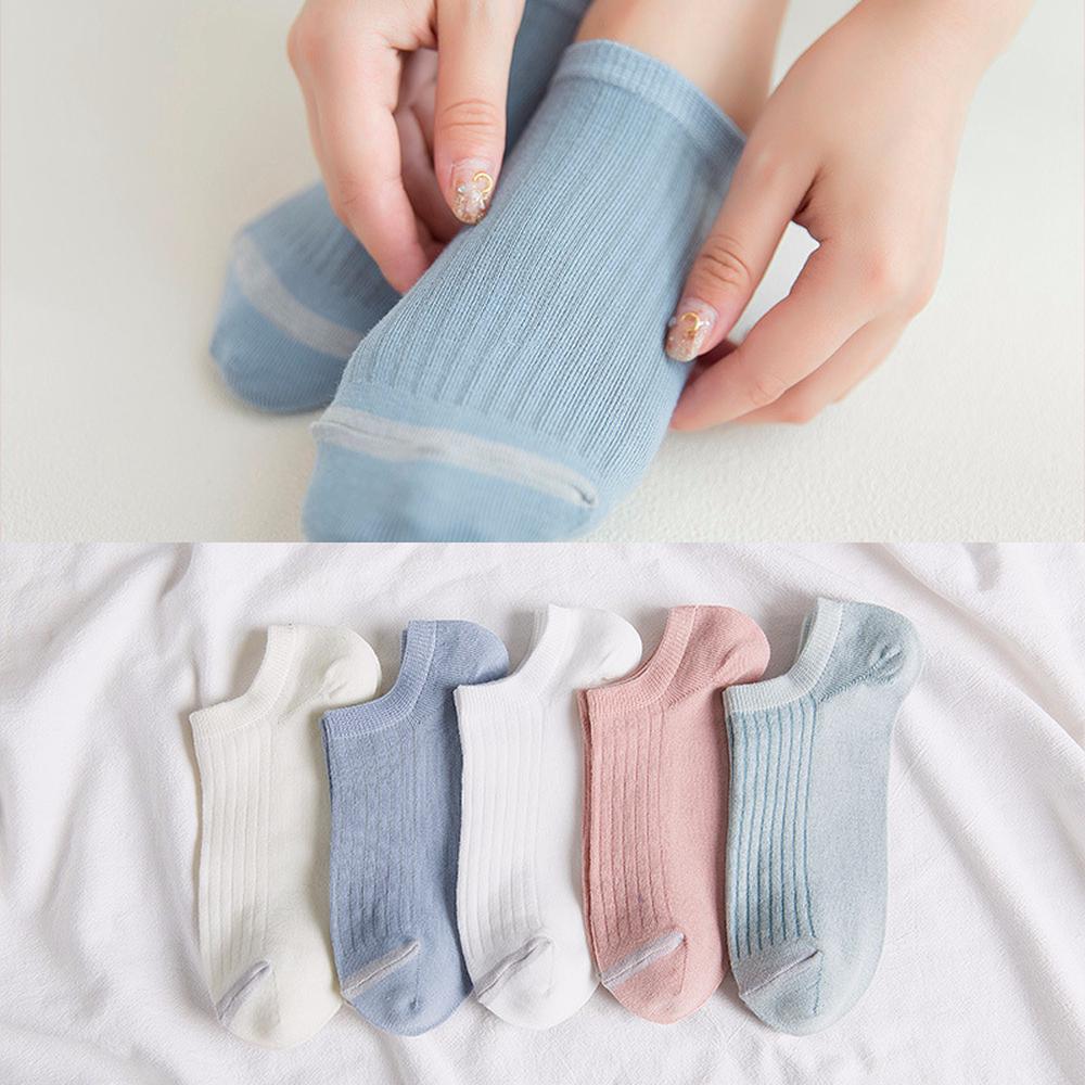 Vớ cotton 5 màu đơn giản