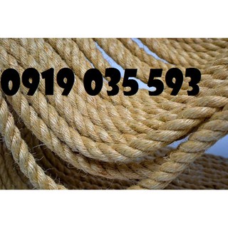 Dây thừng kéo co