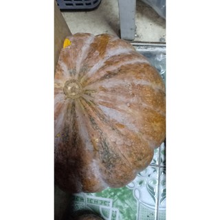 Bí đỏ ngon mà rẻ