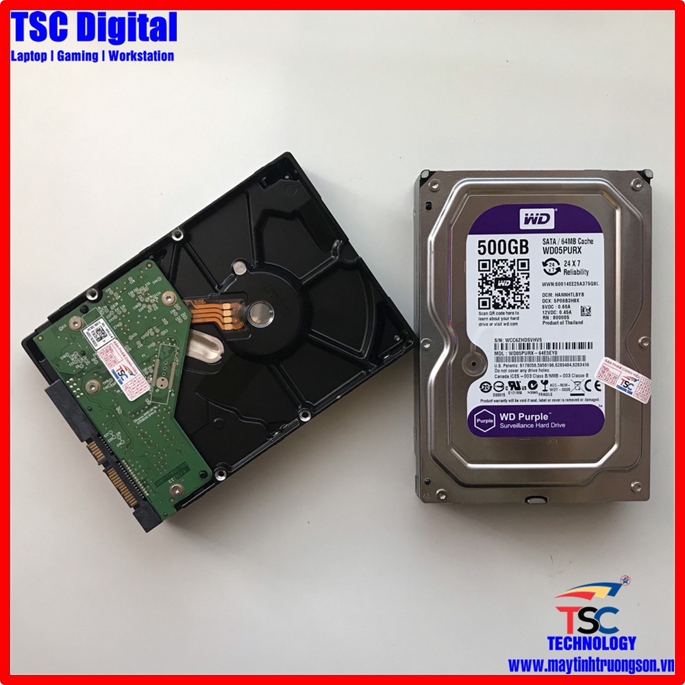 Ổ Cứng HDD 500Gb Western Purple (Tím) Dùng Cho Máy Tính Bàn Và Camera | Bảo hành 24 Tháng